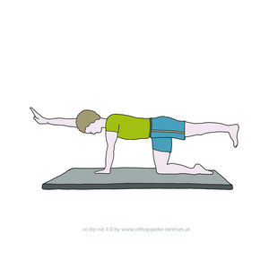 Gymnastikübung Lendenwirbelsäule 11: Kräftigung der Gesäß- und Rückenmuskulatur, Schulung des Gleichgewichts.